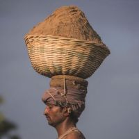 全球沙荒：20年貿(mào)易額增長六倍 中國占亞洲一半，一場全球資源危機(jī)！正在愈演愈烈！