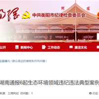 超時(shí)、超量、越界采砂！湖南通報(bào)6起生態(tài)環(huán)境領(lǐng)域違紀(jì)違法典型案例 2起與砂石有關(guān)！