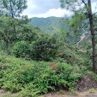 2礦同出！260萬(wàn)方/年！廣東砂石大礦掛牌出讓